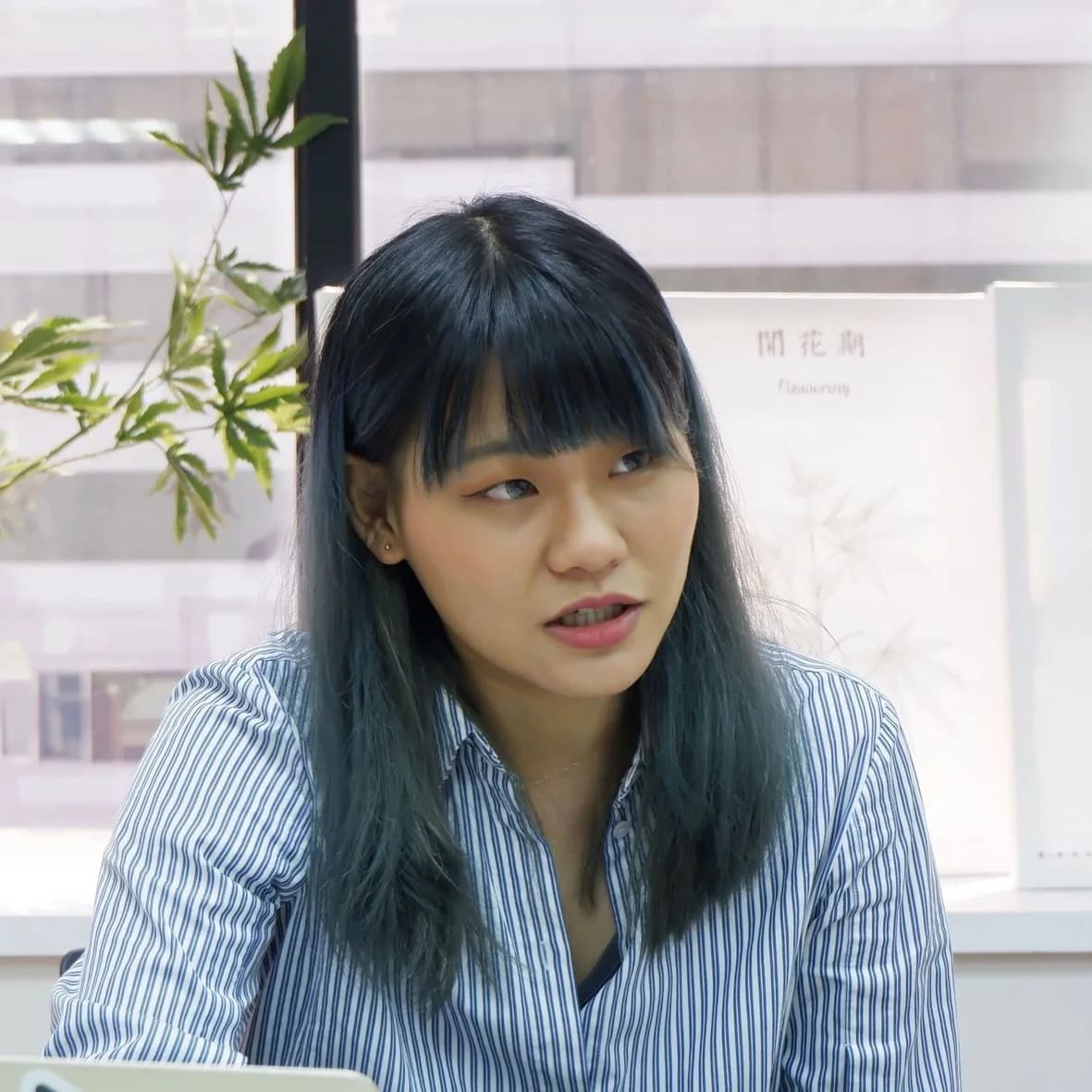 律師李菁琪:大麻除罪化不等於不管制